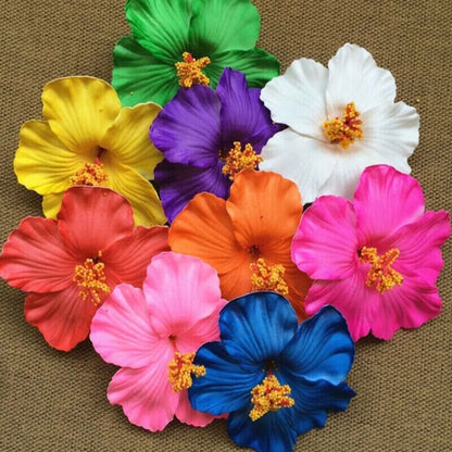 U'i Waiwai — Hawaiian Flower Side Bang Clip