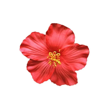 U'i Waiwai — Hawaiian Flower Side Bang Clip