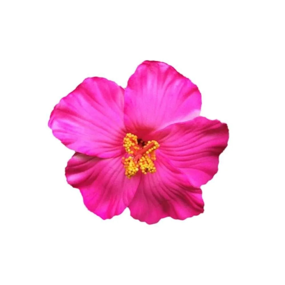 U'i Waiwai — Hawaiian Flower Side Bang Clip