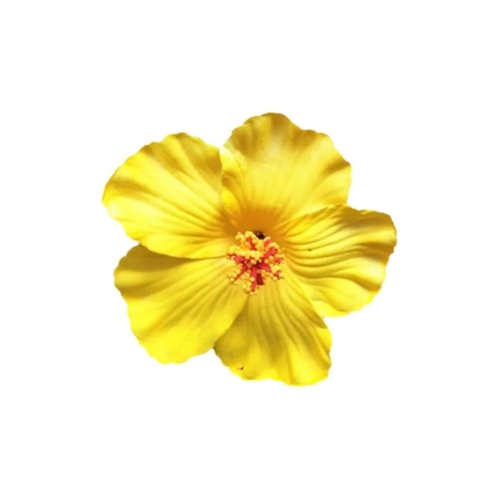 U'i Waiwai — Hawaiian Flower Side Bang Clip