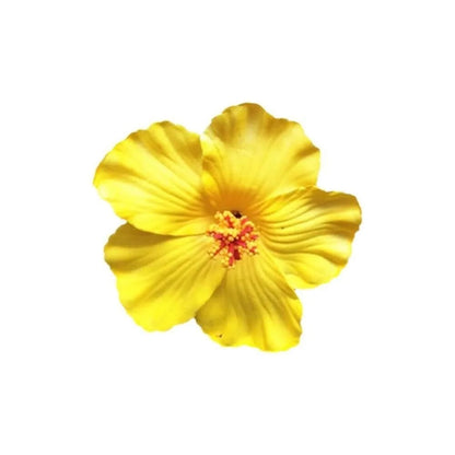 U'i Waiwai — Hawaiian Flower Side Bang Clip