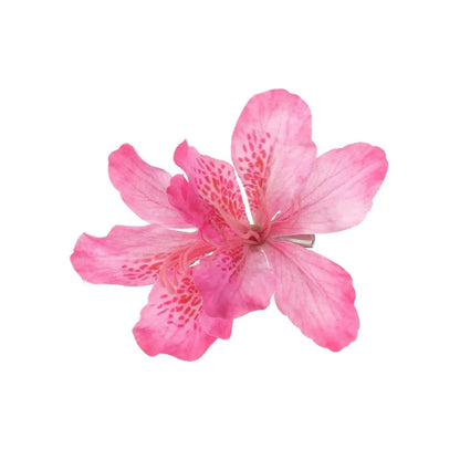 U'i Waiwai — Bohemian Hawaiian Flower Hair Clip