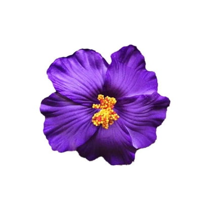U'i Waiwai — Hawaiian Flower Side Bang Clip