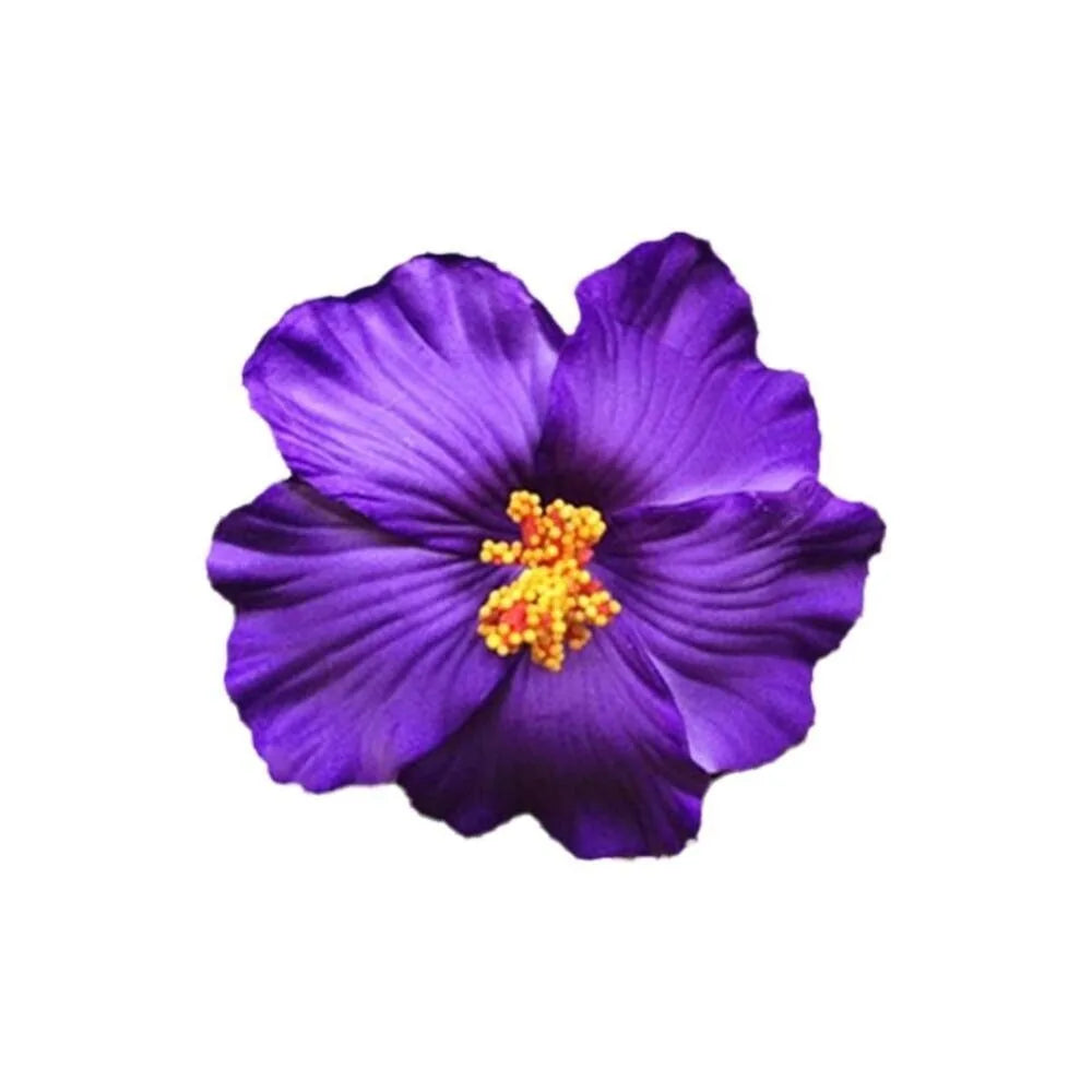 U'i Waiwai — Hawaiian Flower Side Bang Clip