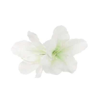 U'i Waiwai — Bohemian Hawaiian Flower Hair Clip