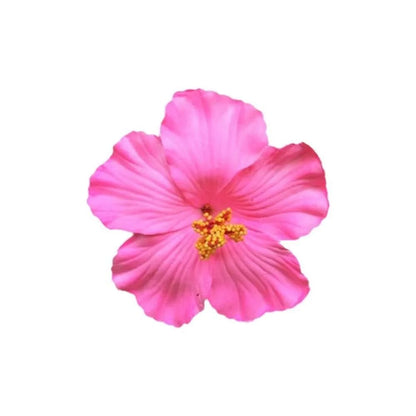 U'i Waiwai — Hawaiian Flower Side Bang Clip