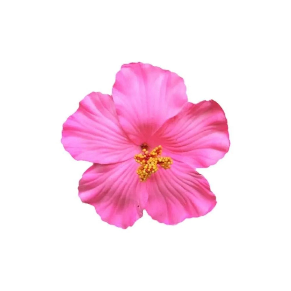 U'i Waiwai — Hawaiian Flower Side Bang Clip