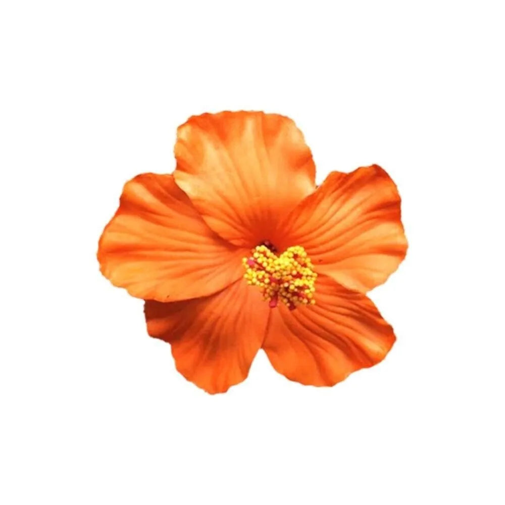 U'i Waiwai — Hawaiian Flower Side Bang Clip